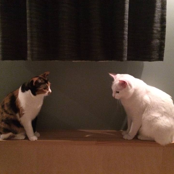 1d4105d7 4fbf 4e61 a92a 5f7d7ea96e7b