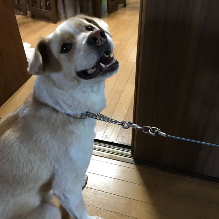 1d41081b 176b 494e a31e 87ff4dca9949