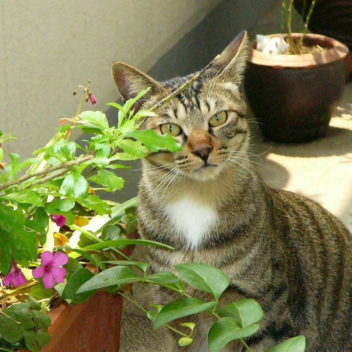 1d414202 52ae 47ed bb46 4fd0dc6ec010