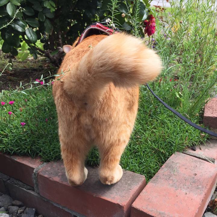 1d41a90d 7de9 4361 bdb2 1d09d6067623