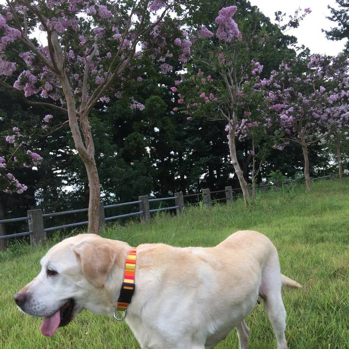 1d41cd2a 6b9f 4850 80ea 3d22d8cba78e