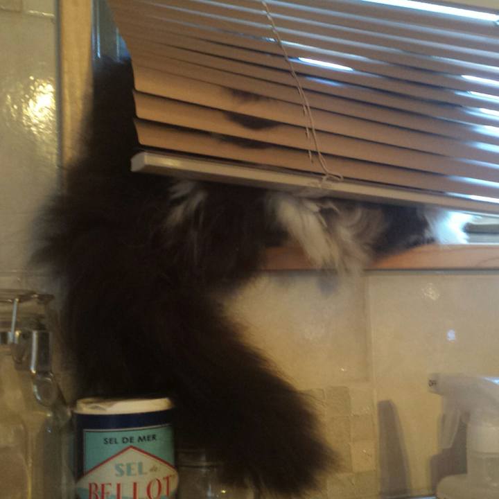 1d41d6e7 0e0c 4325 8ba6 7c6a102b020e