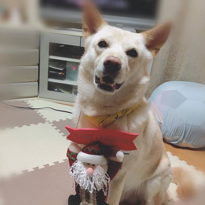 1d429d72 5b26 4928 a619 e192b8a95129