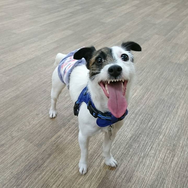 1d42af07 e6ab 4191 85ee 8bff2db67701