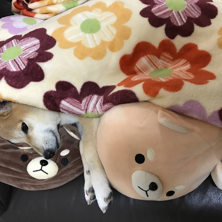 1d42bc26 f78a 4be6 a48c a762d9d9ed32