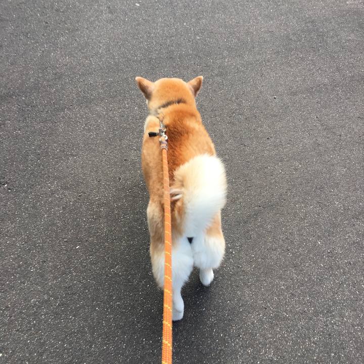 1d430747 a3ea 4c94 b05e 89358a2daded