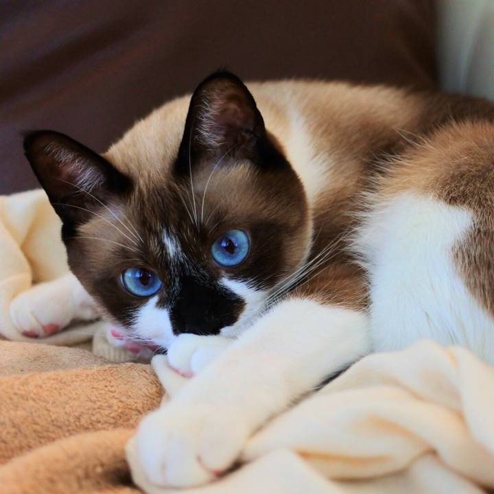 1d439d56 c8fd 491e 8d8c 6ad75bedd545