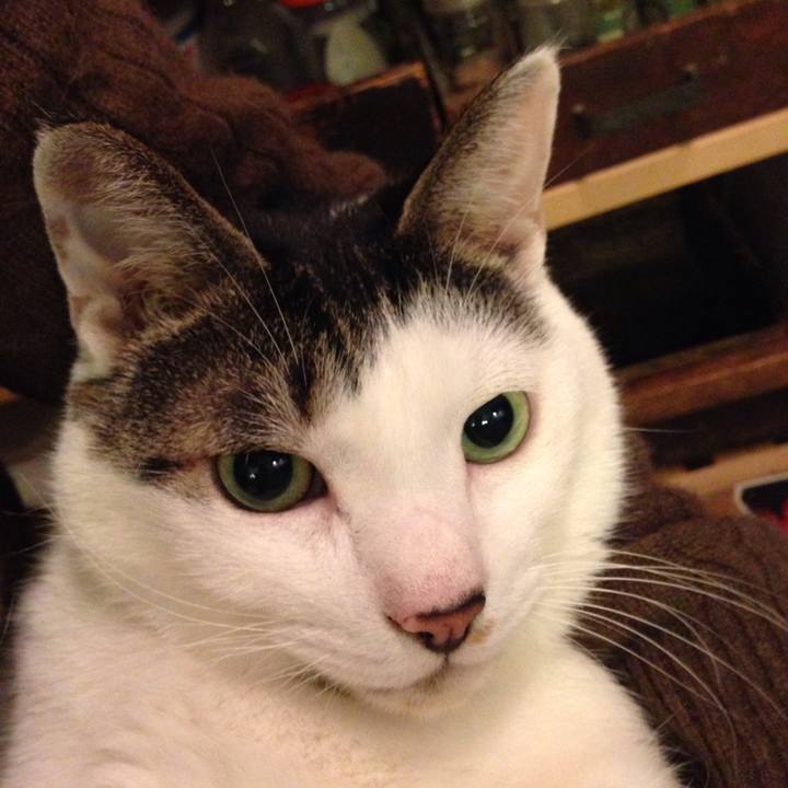 1d43a2a9 c708 4644 ba8f 84c370a9eb34