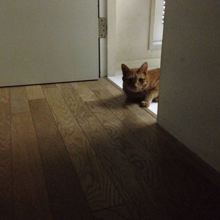 1d43bc7c 8fcf 4aeb a7aa 886a8834d6a8