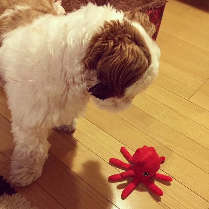 1d447a52 cb8d 41a3 abd4 0f686bab5b23