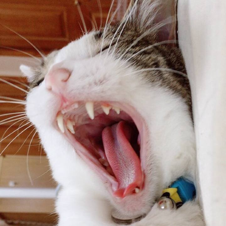 1d44c7fc e532 49ac 83fc a0609e30be60