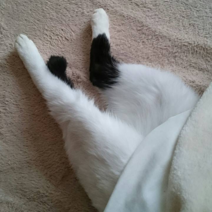 1d44e223 da7f 4235 905c d6dfc2e2cbe4