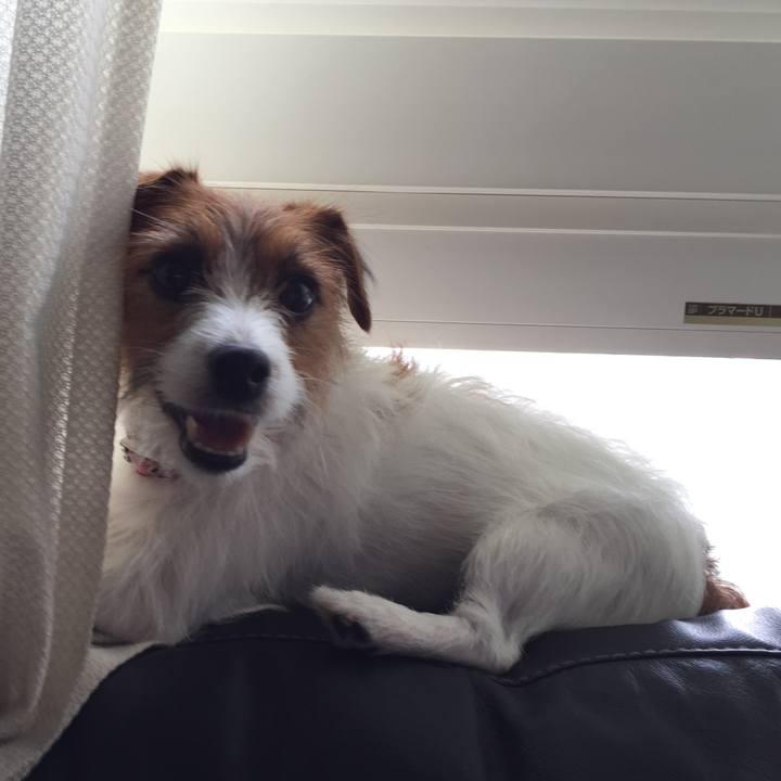 1d45a6c2 2647 4372 8346 f538b07a0f2d