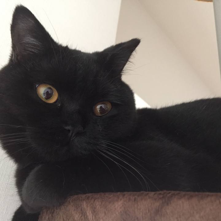 1d45abfa b3d0 49a3 aab7 6adec429e7cc