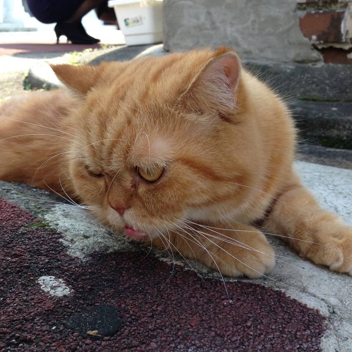 1d45c3f9 e9ca 4c04 a96f d11b13d041a8