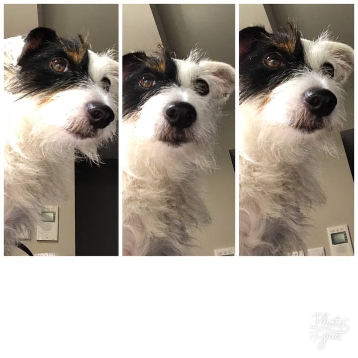 1d45e372 efdc 4a4f 9e42 0cd9126a6ec9