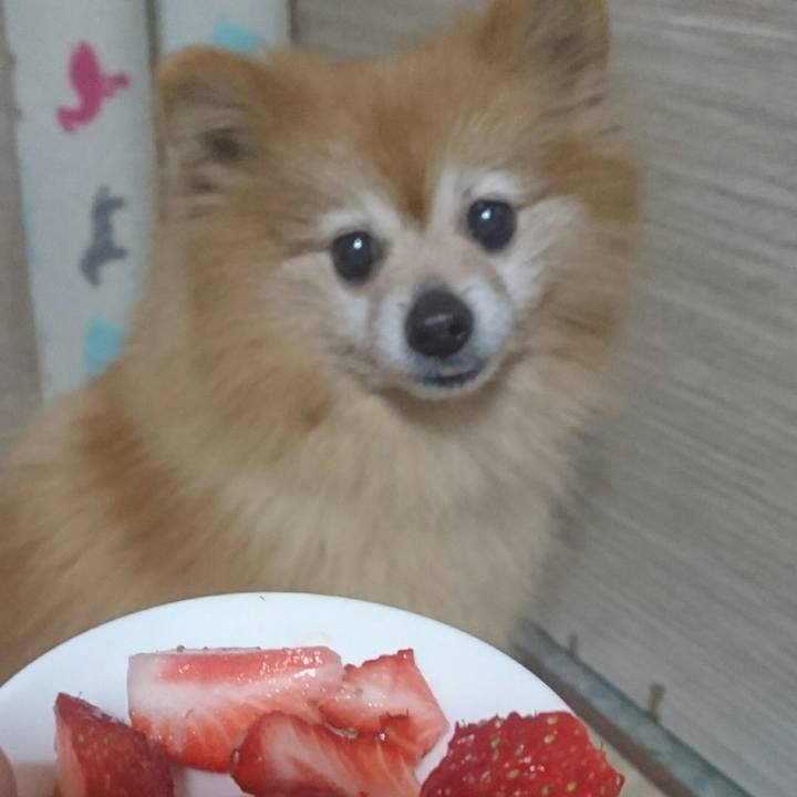 1d4628ff 84e5 45b0 ad02 2af6618f95b7