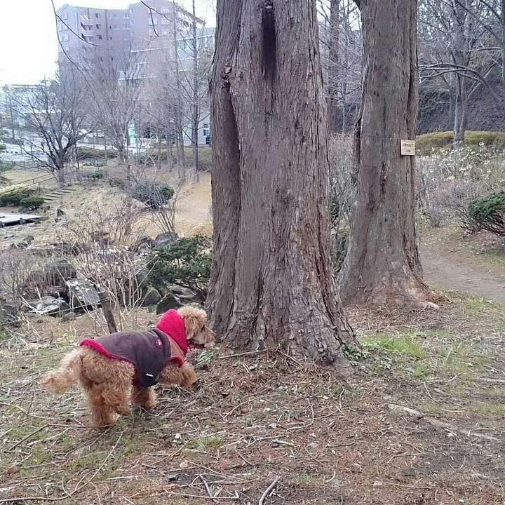 1d46dc97 7b6b 42a5 a261 29dd16988837