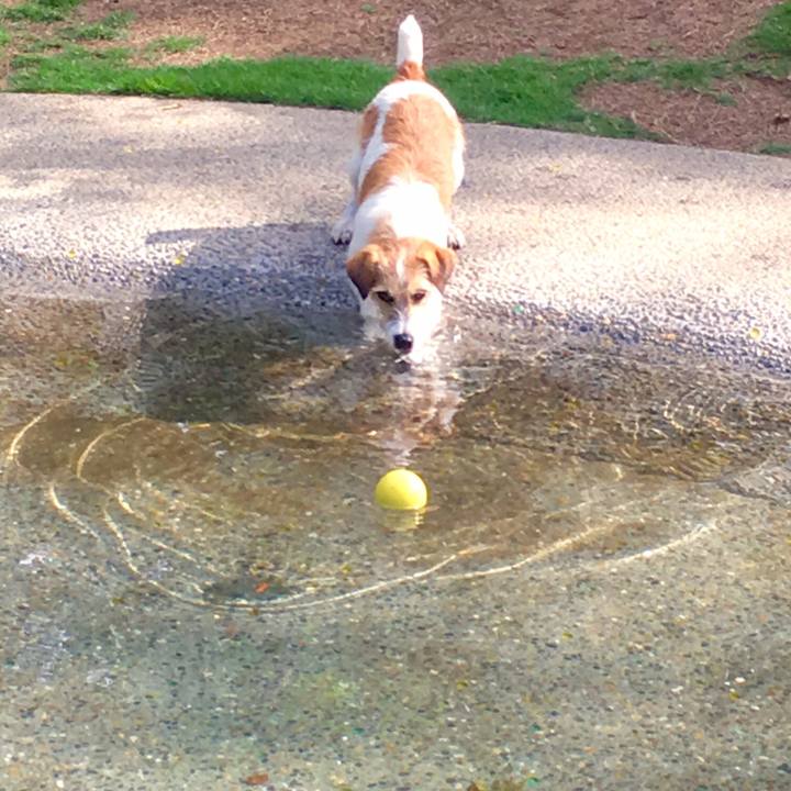 1d47453e 725e 4815 a42e ef26d5a3dd1e