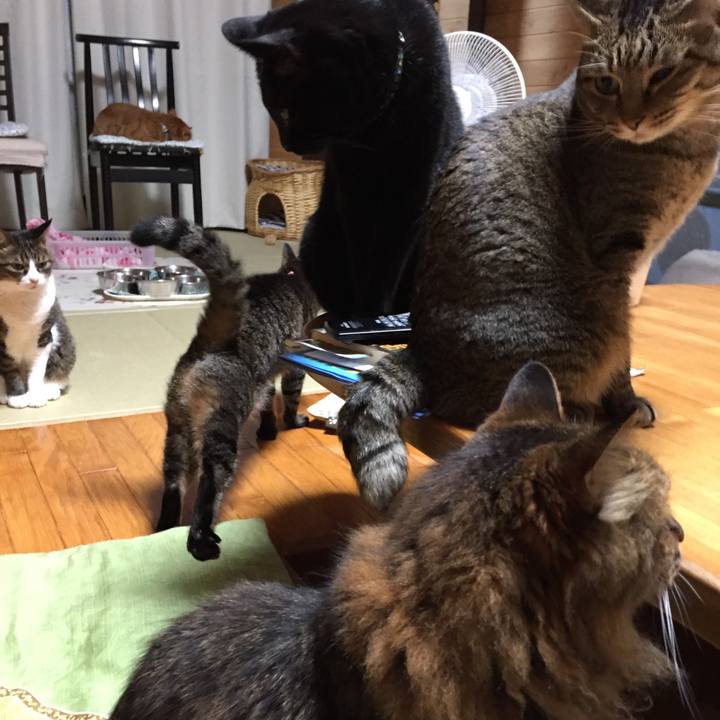 1d479c85 13fc 45b8 92f8 05524bd85496