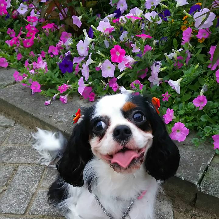 1d47dee7 5ccb 43cf aac3 ae21ec262eca