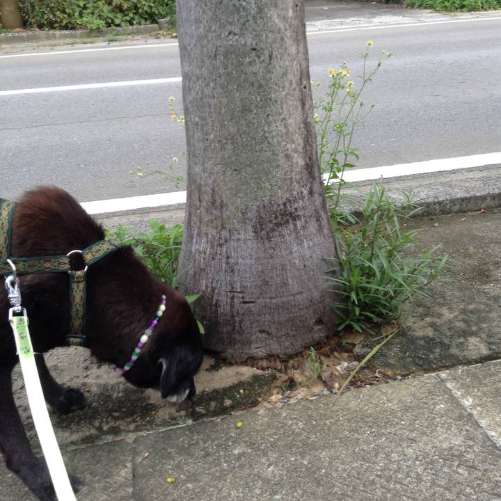 1d47f280 bcda 4852 b4cb e4cee32fb351