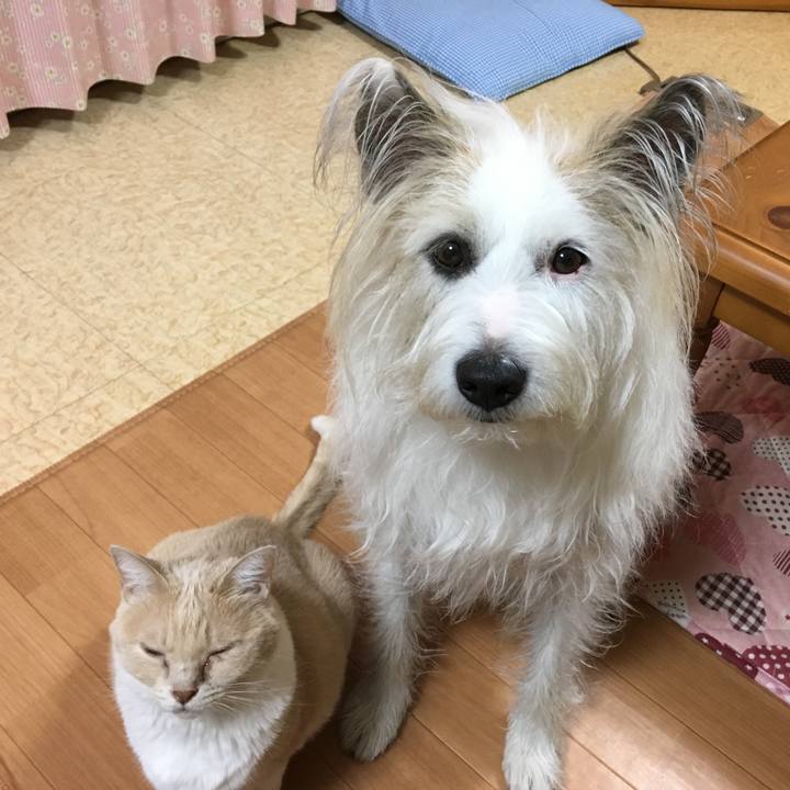 1d48996d 1d55 4aa9 ba57 93e92b0b2805