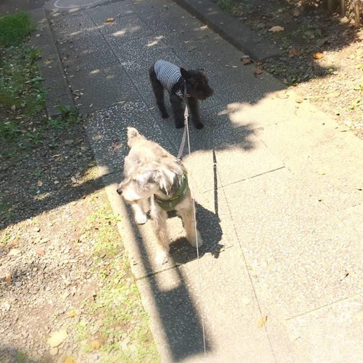 1d495c51 1c67 4b75 8098 e8bca16e21fc