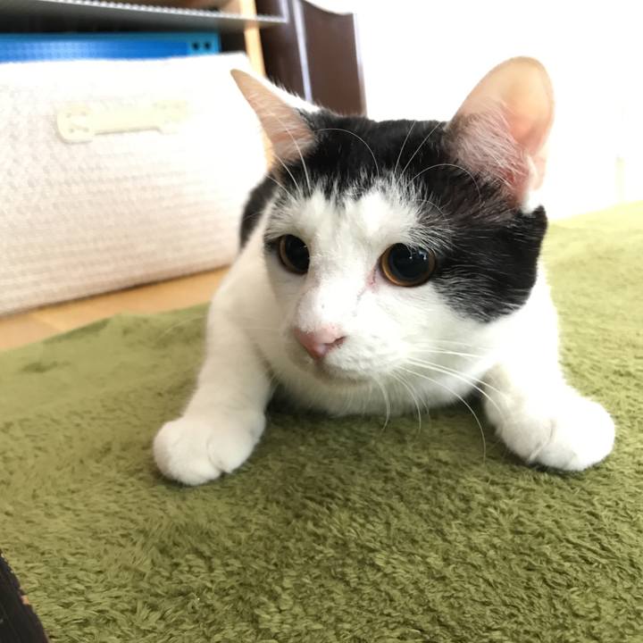 1d49fb8a 24eb 4567 a318 aa8c83c4ebb6