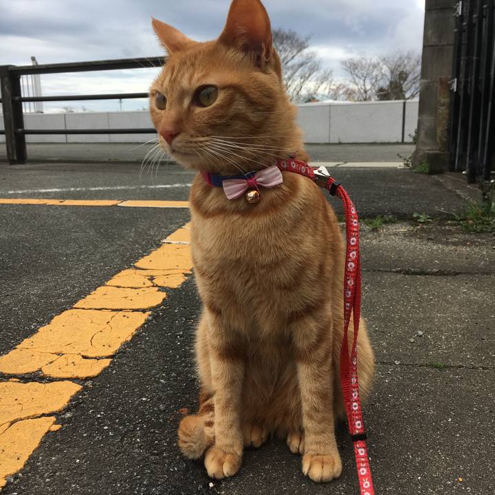 1d4a1eb9 078f 4046 9c9d 2d4adb2dae9c