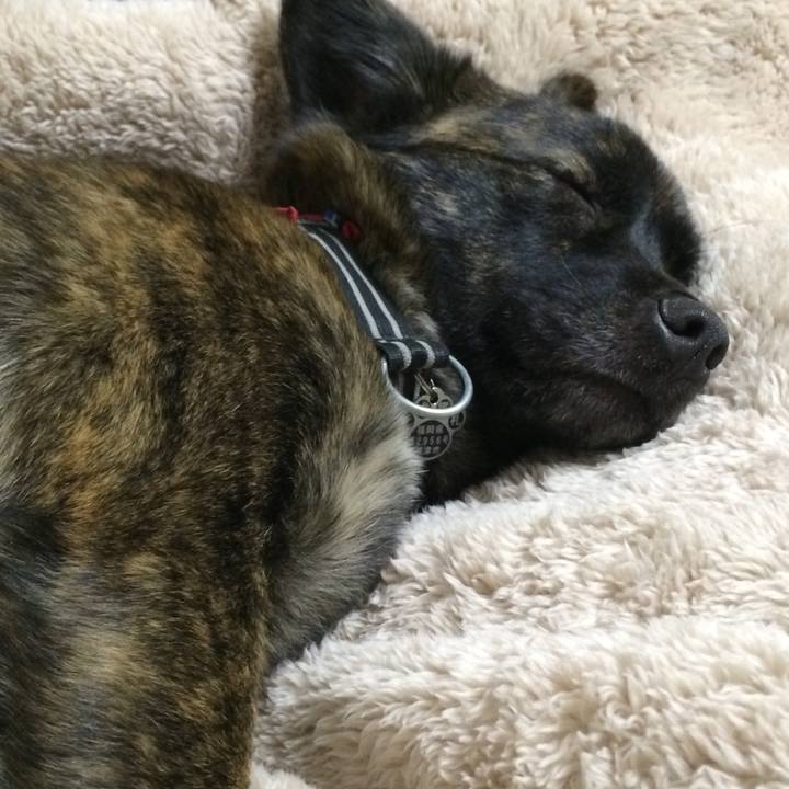 1d4a6b47 9be4 4e06 940b ead148ca3bcb