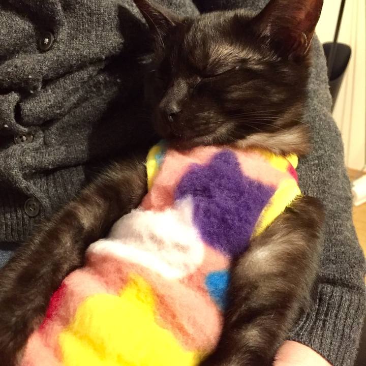 1d4aaab7 0f1b 4a54 b9e0 aac97a8db353