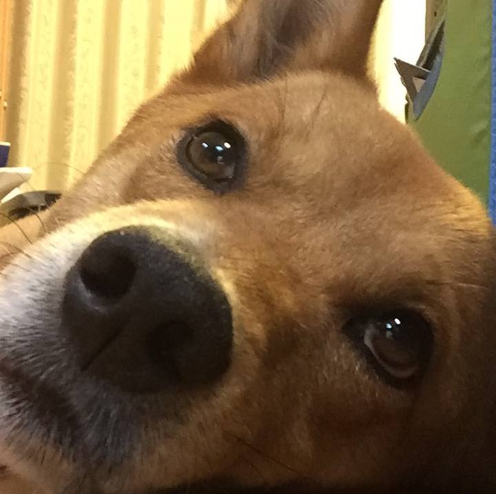 1d4affe0 cdb5 4051 ad0f 7dc574a8d89f