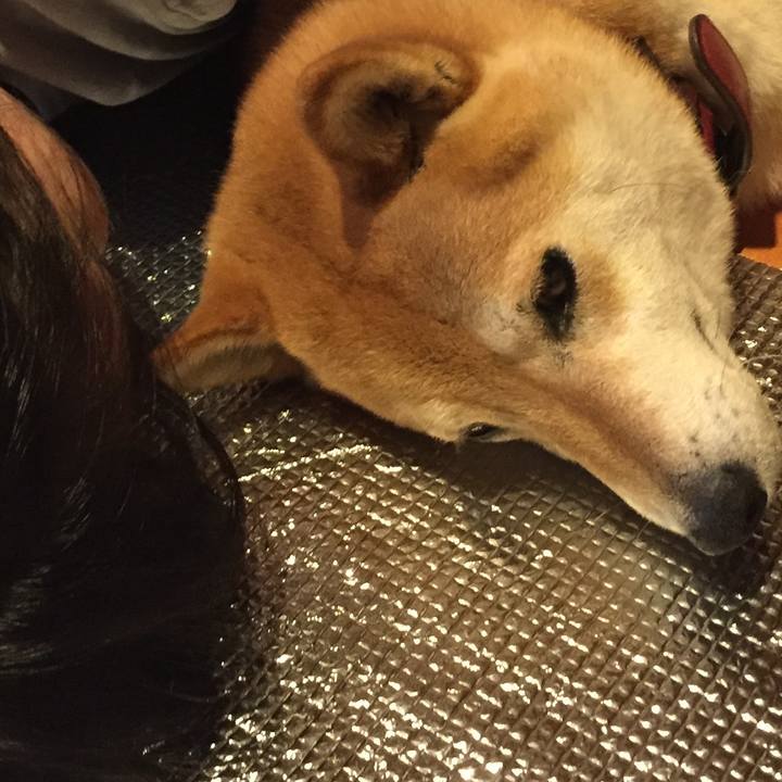 1d4b33f2 39a4 422a aceb f114e9eaad4f