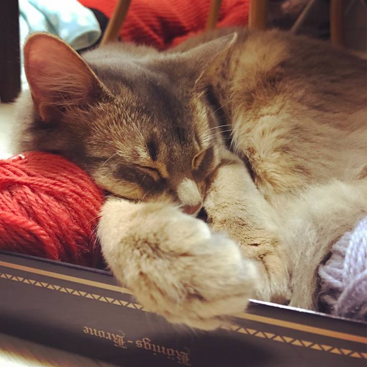 1d4b3781 e276 4105 913c 7ef51e08007e