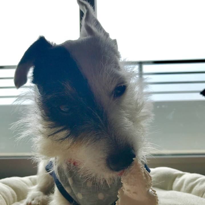 1d4b8104 4f9f 4e9f 9f20 6c036e5a4079