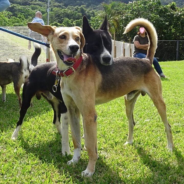 1d4bc06e c6a8 4599 8b61 24a45b092ef4