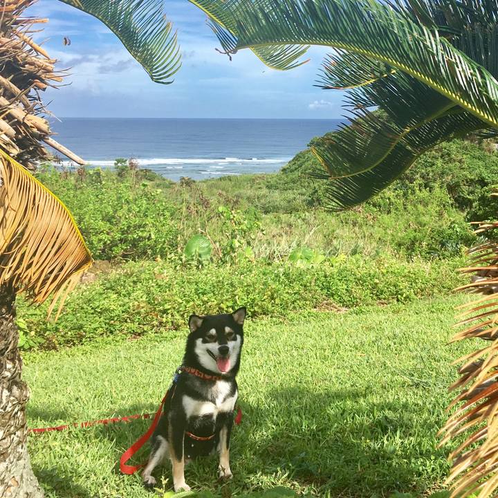 1d4c7a73 b6d7 46fd a2f5 6674ecd61bf5