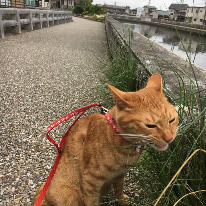 1d4cafc6 2652 4edb b0ff 543b5d7dc903