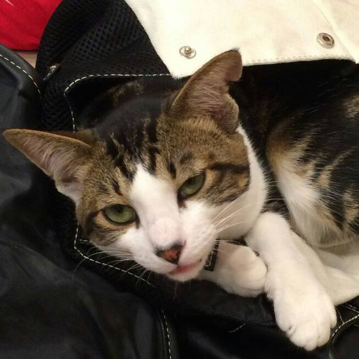 1d4cc49a 3f5f 4ea1 967a 7ac08e9aed6d