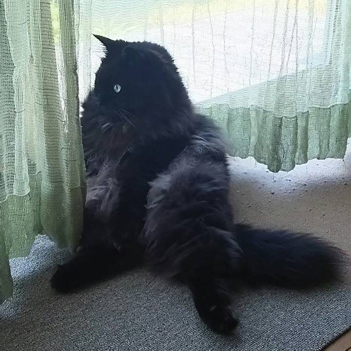 1d4d565b 48fe 453a 8dca 29c4e900a9f0