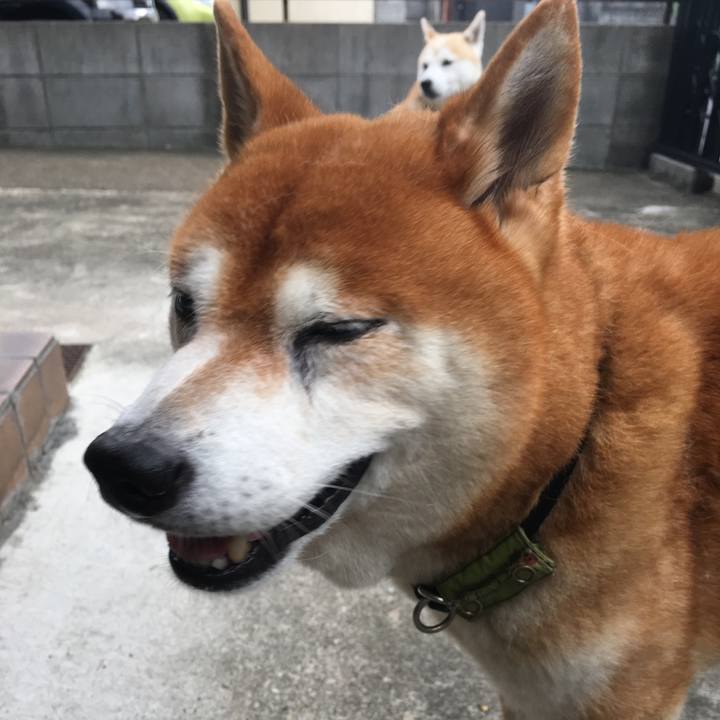 1d4e0e09 e594 4a03 a3f4 36a358ec951c