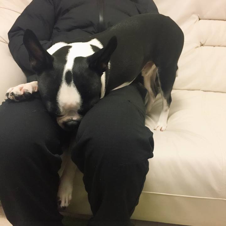 1d4e627e 73f2 4c59 a104 b04a49d6a1d1