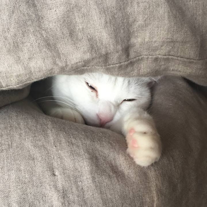 1d4ec35e 8a2b 4eb0 b65a 537eea0046c0