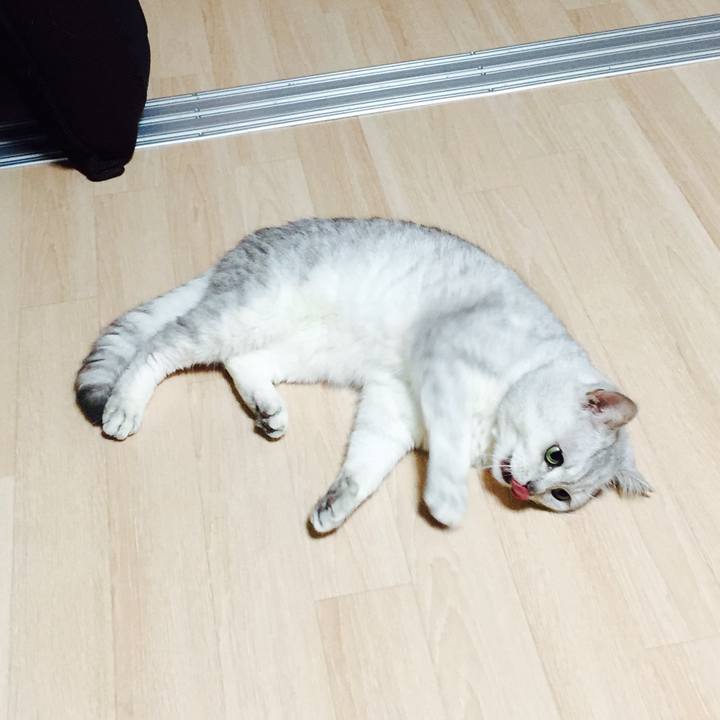 1d4ee4c1 4444 4b1e a0ca f2cb23561b94