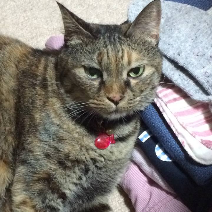 1d4f9569 0486 40ec b2c8 72e356c016ac