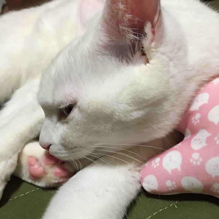 1d4fb0bc 0f03 4362 bb5c c8fbed02a81b