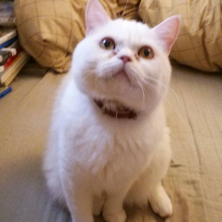 1d506582 5364 4c26 b4e6 855537a668af