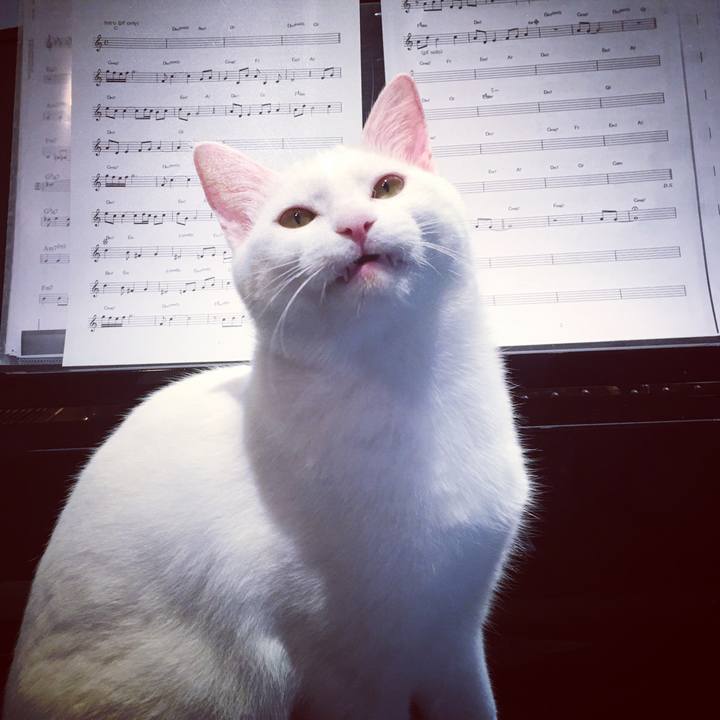 1d50981e 7cac 484c b97e 83884f1c8652