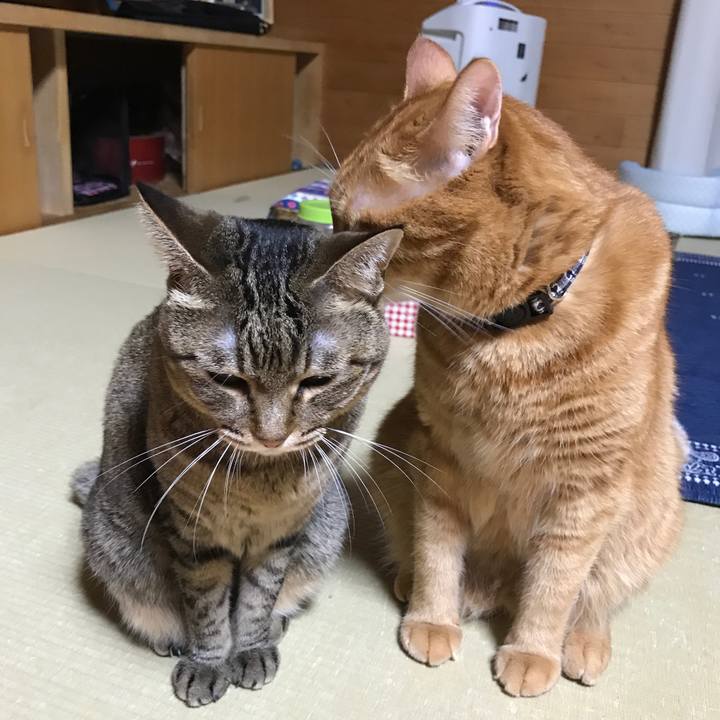 1d5102c2 2edc 4139 8a39 f8d1d452e1d8